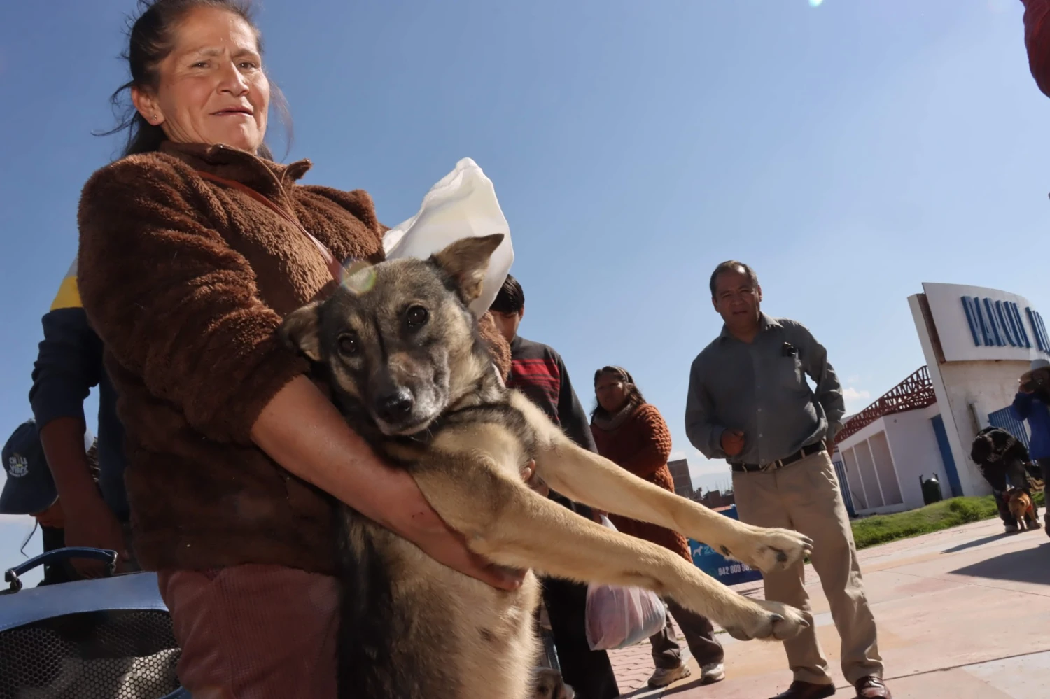Chilca lanza campaña de esterilización de mascotas