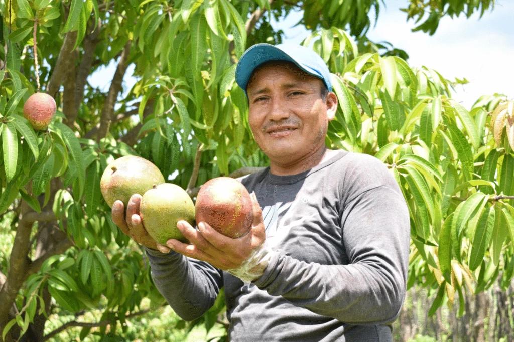 Perú exporta US$7 mil millones en frutas al mundo