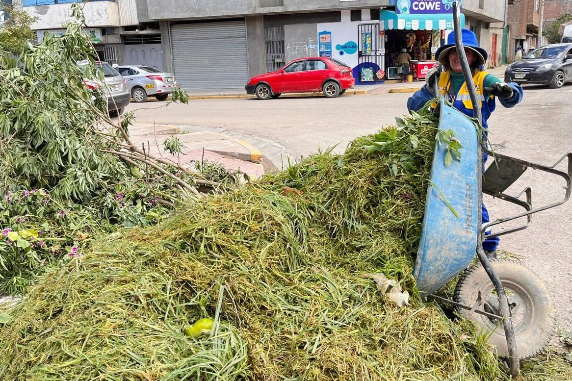 Chilca Verde recupera jardines y mejora el ornato
