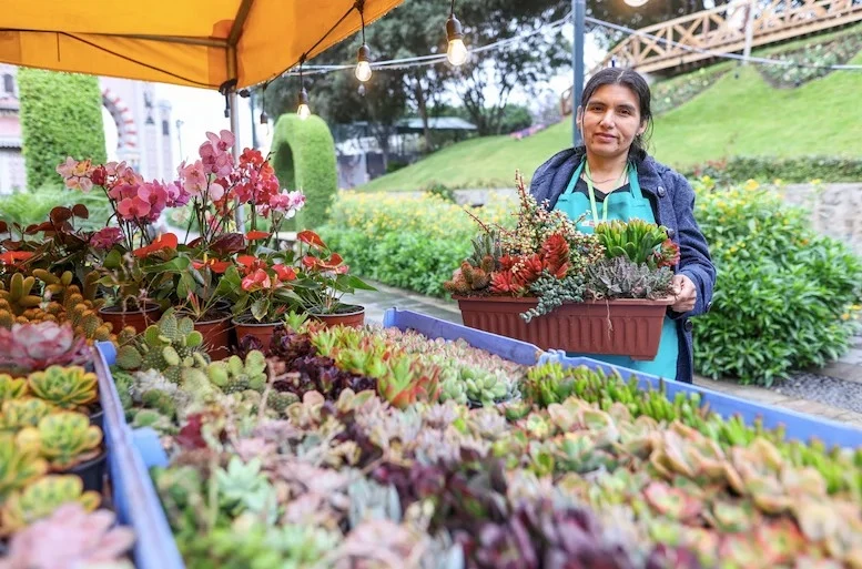 Aprueban millonario proyecto para floricultores de Junín